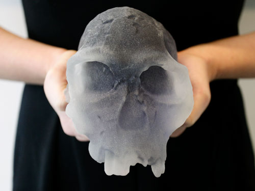 3d printed skull fossil